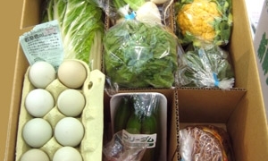 千葉県野菜詰め合わせ「フレッシュボックス」が当たるクイズ